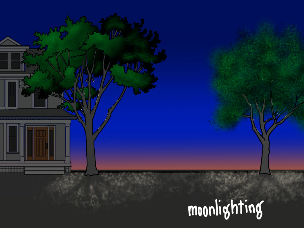 An illustration of moonlight style light cast through two trees from lamps in the branches in a front yard at dusk