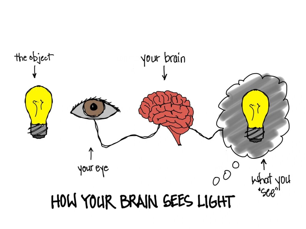 An illustration, in order from left to right. A lightbulb, an eye, a brain, and a thought bubble with a lightbulb inside. A line connects the eye, brain, and thought bubble. The items are labeled, in order from left to right, "the object," "your eye," "your brain," and "what you see." Text at the bottom reads "How your Brain Sees Light."