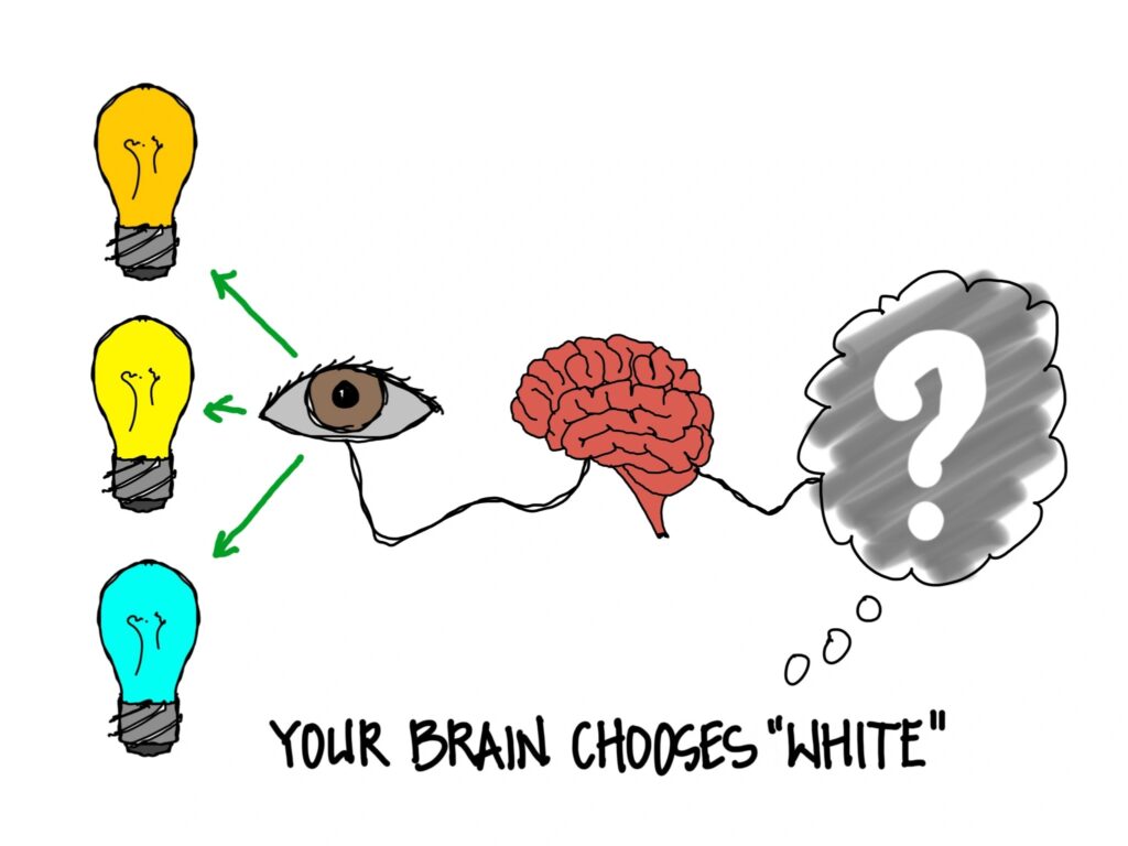 An illustration, in order from left to right. Three lightbulbs in a column (orange, yellow and blue), an eye, a brain, and a thought bubble with a white question mark. A line connects the eye, brain, and thought bubble. Text at the bottom reads "Your Brain Chooses White."