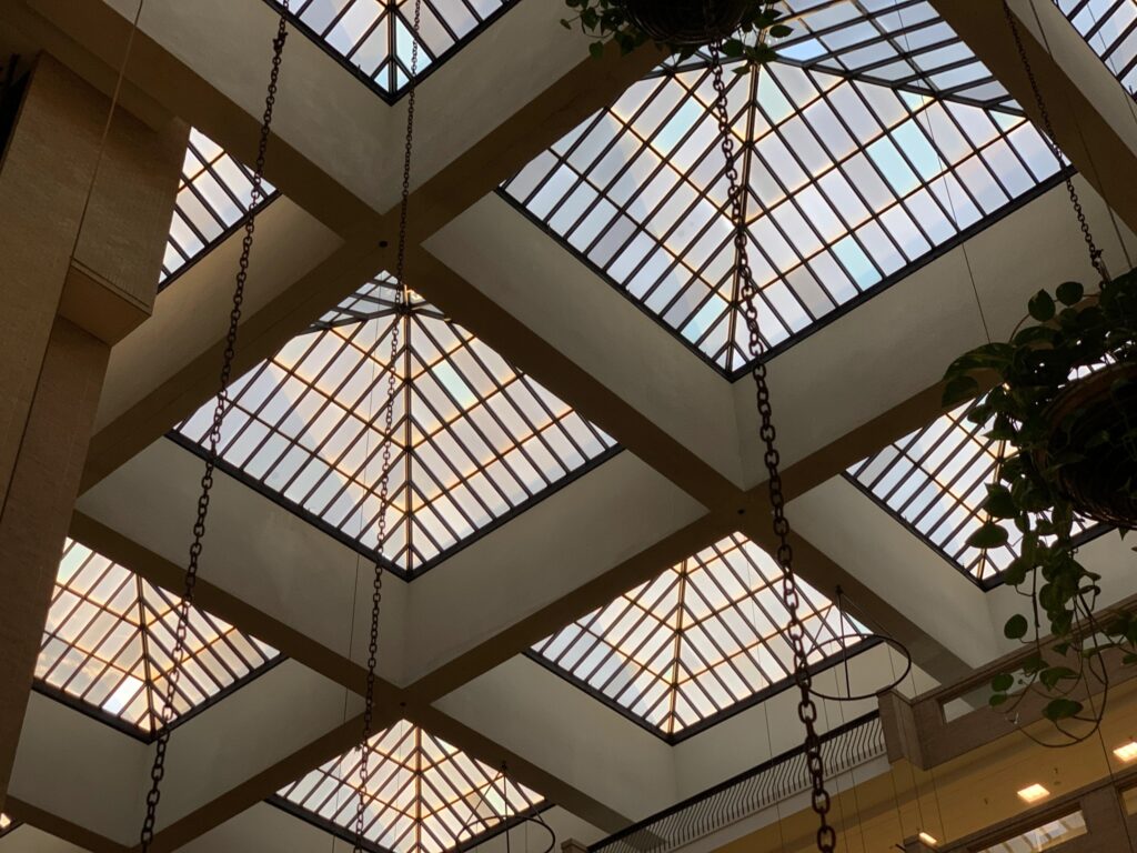 A photo of the skylight at DMC.