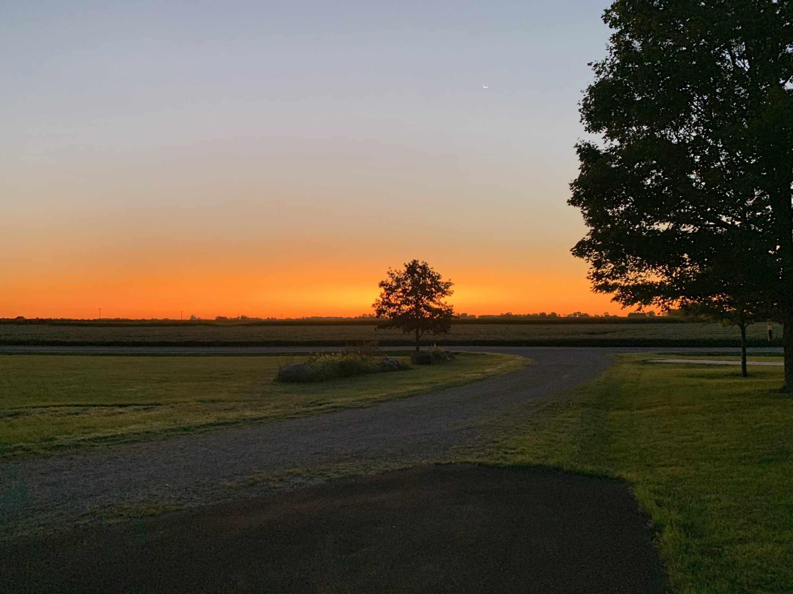 Photo of a flat, green space with a sunset glow on the horizon casting everything in silhouette. To the right is a big tree. A smaller tree is in the center.