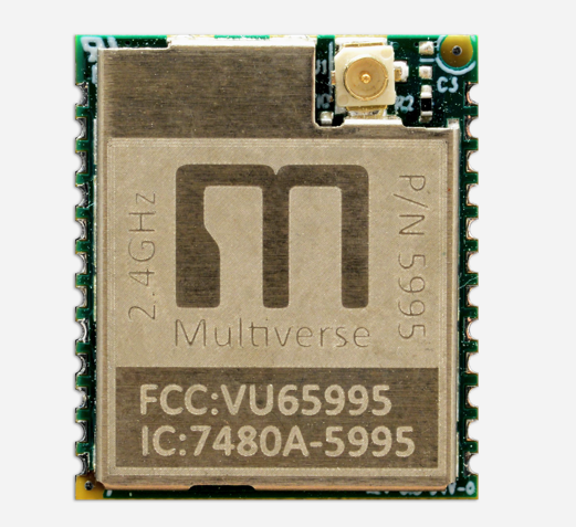 A Multiverse computer chip