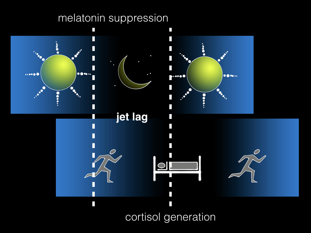 A diagram that shows how humans tend to live their lives nowadays, with humans getting to bed late and waking up late, so they are not asleep when the sun is down.